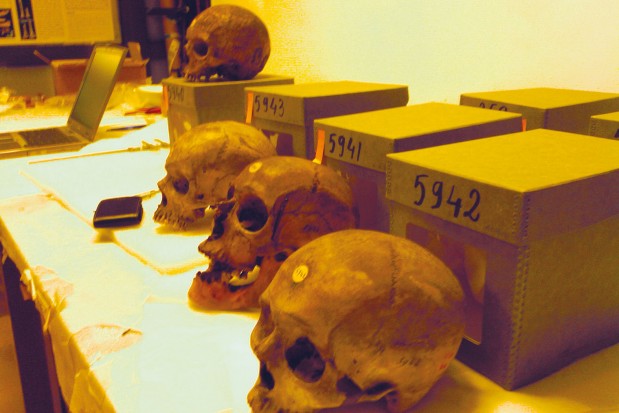 Pétition des députés en faveurde leur rapatriement