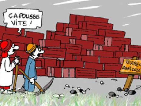 Port d'Alger : Les terres agricoles sous douane