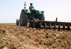 تخوفوا من انخفاض الإنتاج بسبب أزمة الندرة التي تعاني منها الجزائر              فلاحو سيدي بلعباس يطالبون بتوفير البذور لإنقاذ الموسم الفلاحي