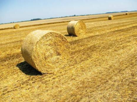 Chiffres douteux pour bilans approximatifs