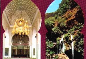 متخصصون يتحدثون عن تلمسان بين التراث المعماري والتراث الفني