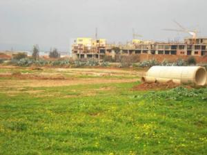 Chlef - Plus de 800 ha de terres agricoles intégrés dans des zones urbanisables