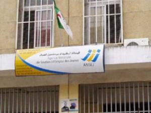 ANSEJ de Tizi-Ouzou : 1245 micro-entreprises créées par des universitaires