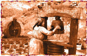 Azazga - Portes ouvertes sur l'agriculture: De nouveaux concepts mis en avant