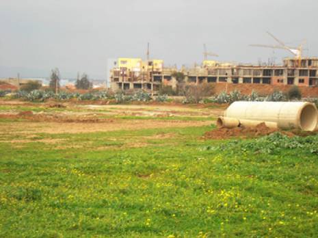 Chlef - Plus de 800 ha de terres agricoles intégrés dans des zones urbanisables