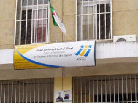 ANSEJ de Tizi-Ouzou : 1245 micro-entreprises créées par des universitaires