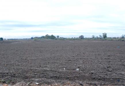 العدالة لمن لا يستغل الأرض للاستثمار بباتنة