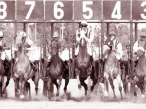 Vive polémique Tiaret : La SCHPM prive l'hippodrome de ses courses