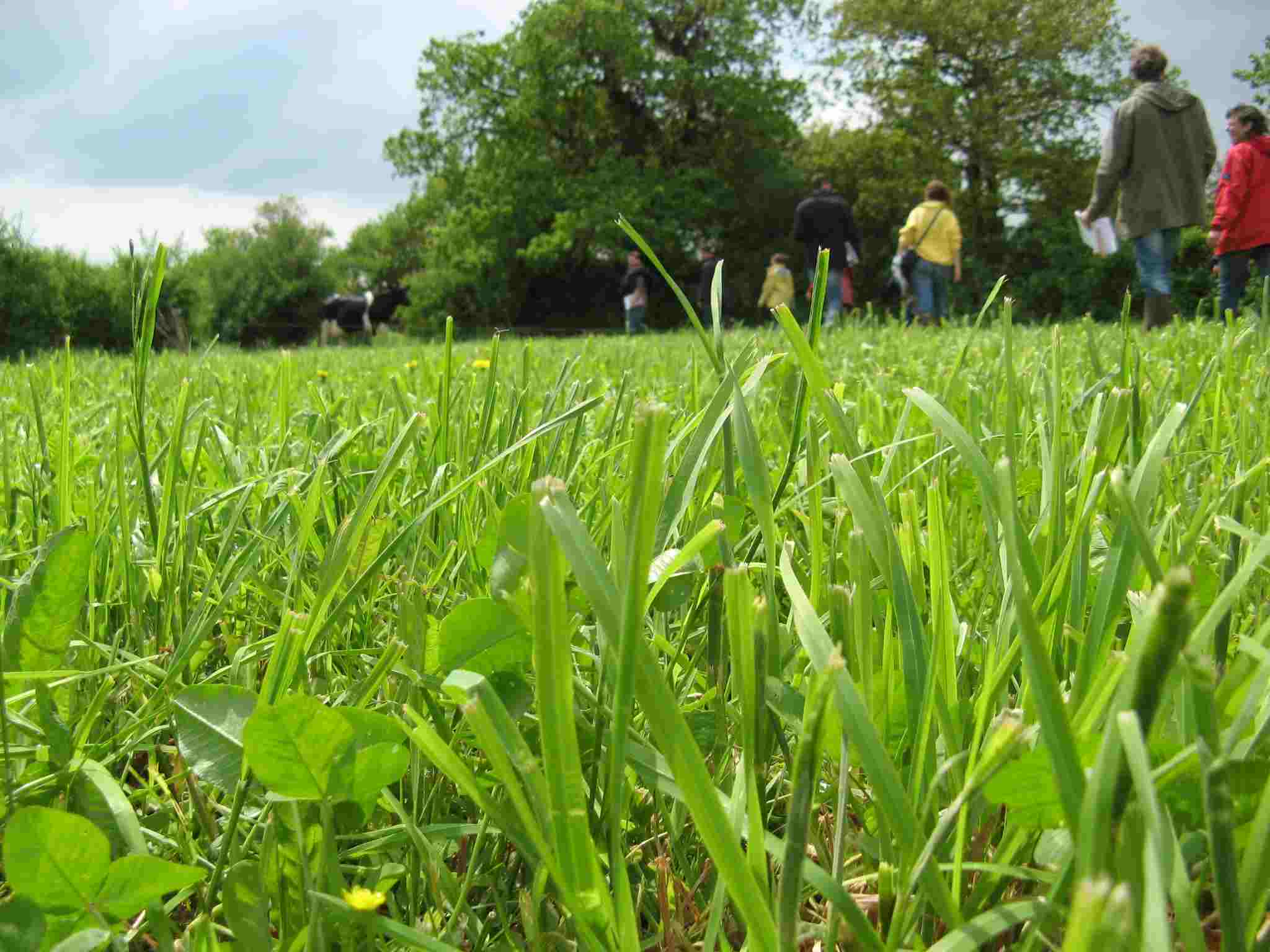 الجزائر تتوقع ارتفاع الإنتاج الزراعي إلى 12 مليار دولار العام الجاري