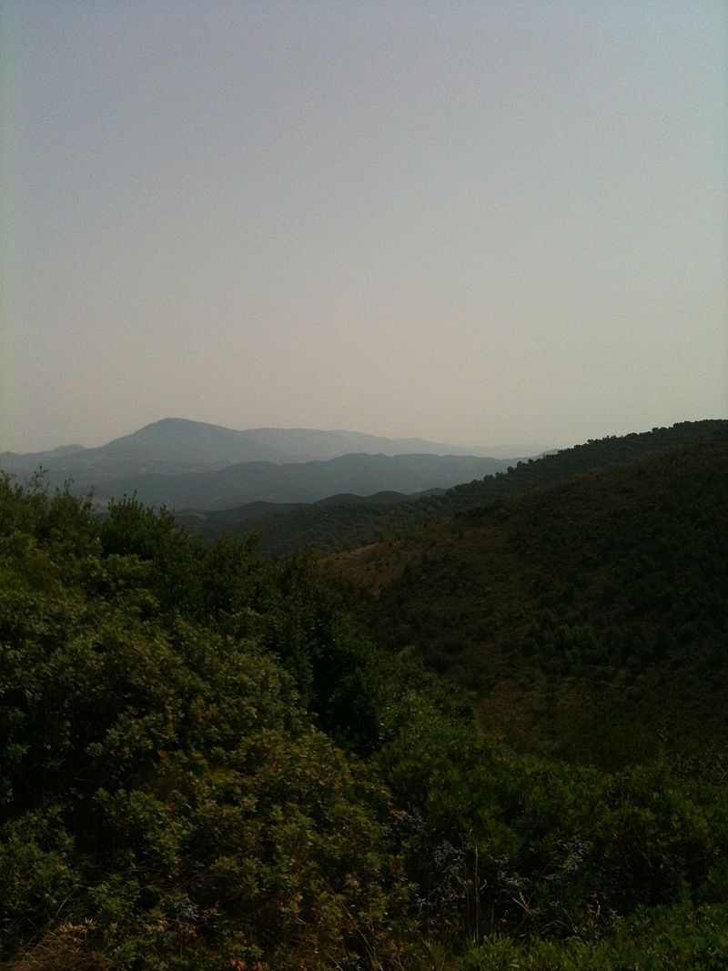 الأبعاد الأنثروبولوجية والثقافية لمنطقة طـــرارة بالجزائر