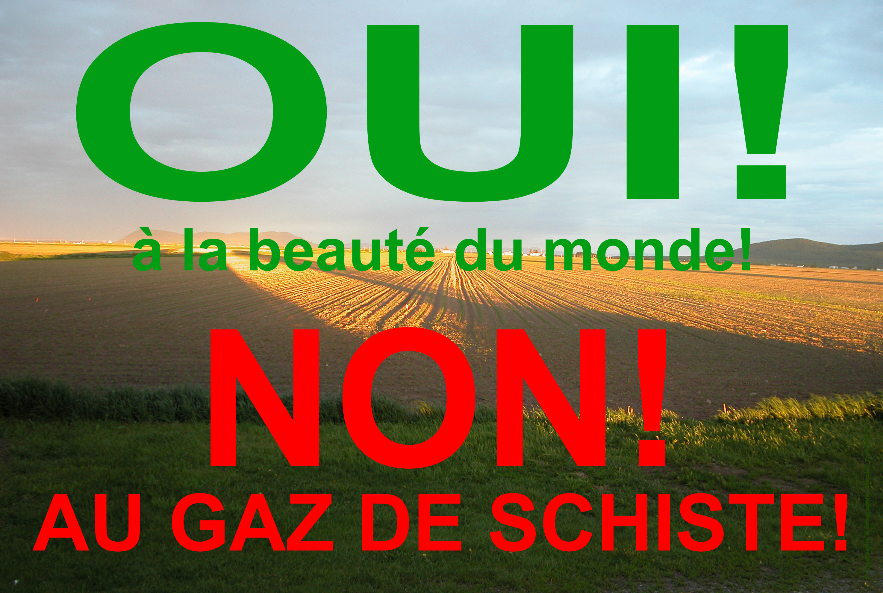 Algérie - Le gaz de schiste, est-ce bien raisonnable?