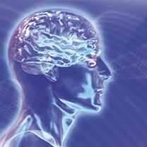 4e Journée nationale de neurologie à Constantine : Plus de 3.000 malades hospitalisés annuellement