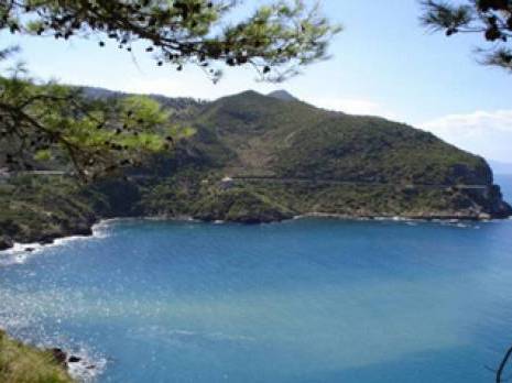 Aire marine protégée de Taza: Les pêcheurs dans le désarroi