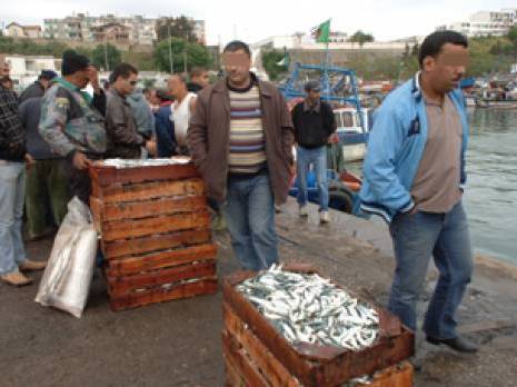 «La sardine à 50 DA est un leurre !»