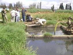 Oran - L'irrigation aux usées continue de sévir: 12 agriculteurs arrêtés en huit mois