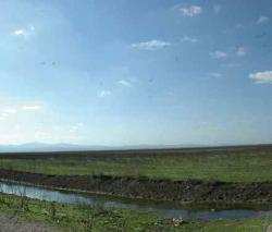 لجنة تحقيق في تجاوزات بالقطاع الفلاحي في عنابة والطارف