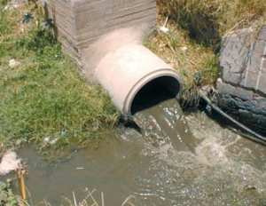 كارثة إيكولوجية تهدد سكان بقعة العبادل بحرشون في الشلف