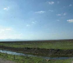 لجنة تحقيق في تجاوزات بالقطاع الفلاحي في عنابة والطارف