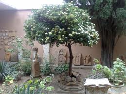 متحف تيبازة