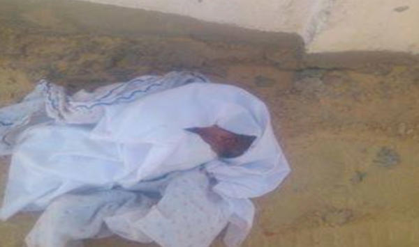 العثور على جنين حديث الولادة بجانب مقبرة السبت بسكيكدة