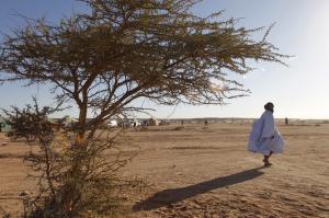 Hassi Messaoud, les secrets (bien cachés) de l'or noir