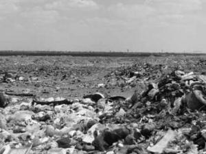 Visite du ministre de l'Environnement à Ouargla: Situation environnementale alarmante