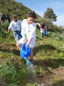 Chlef - Un million d'arbres à l'horizon 2014