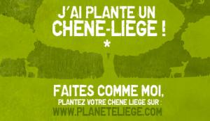 Skikda - Une journée verte