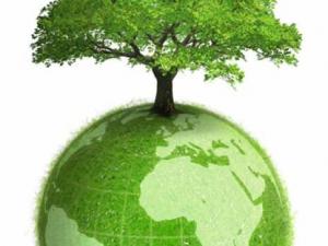 Guelma - Les experts algériens encouragent une mentalité environnementale