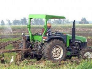 APW de Guelma - La céréaliculture en déclin