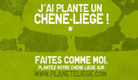 Skikda - Une journée verte