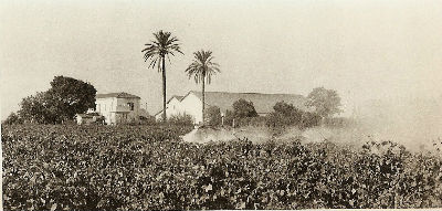 Pages  d'histoire de la  ville de Baraki