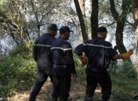 42 ha décimés en 48 heures