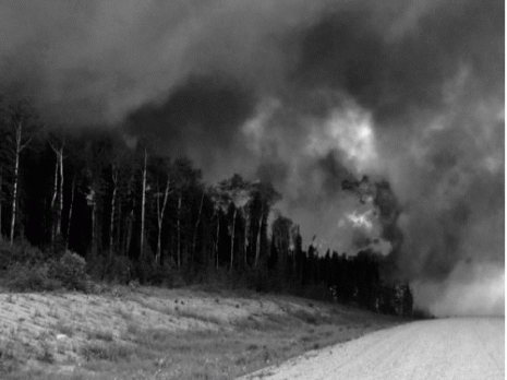 Souk Ahras subit une intense vague de chaleur