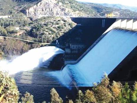 Sursaut ou profession de foi '