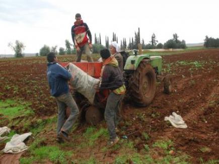 فلاحون ينتفضون لعدم استفادتهم من تعويضات مالية عن خسائرهم بغليزان