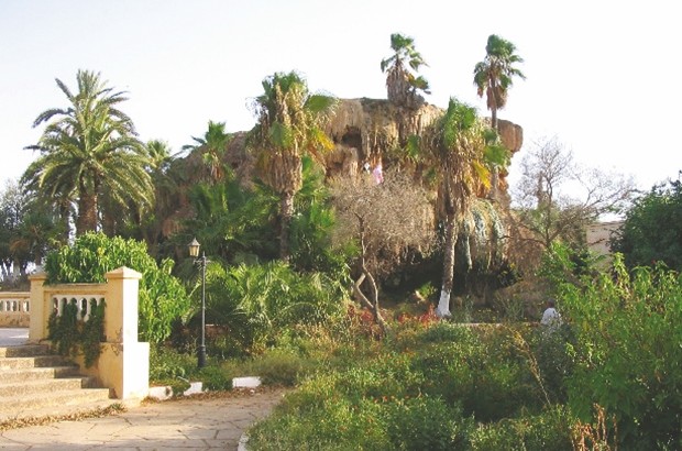 Les autorités d'Aïn Témouchent incitent à l'investissement dans le forestier