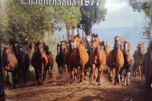 le 1er festival nle du tourisme équestre tiaret du 1 novembre au 4 novembre 2011