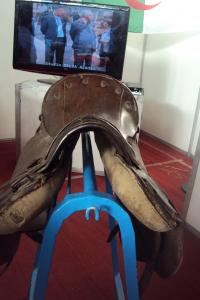 le 1er festival nle du tourisme équestre tiaret du 1 novembre au 4 novembre 2011