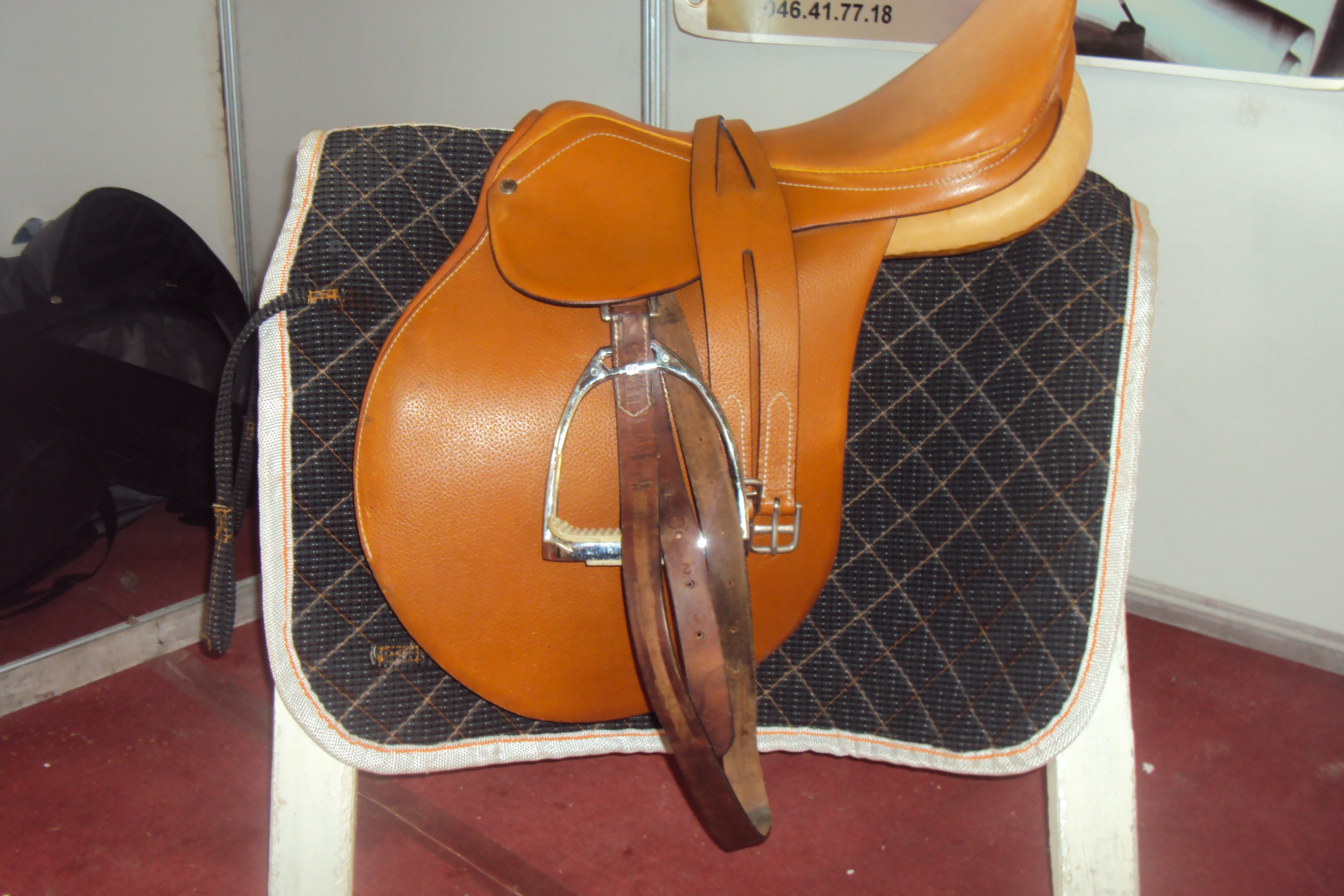 le 1er festival nle du tourisme équestre tiaret du 1 novembre au 4 novembre 2011