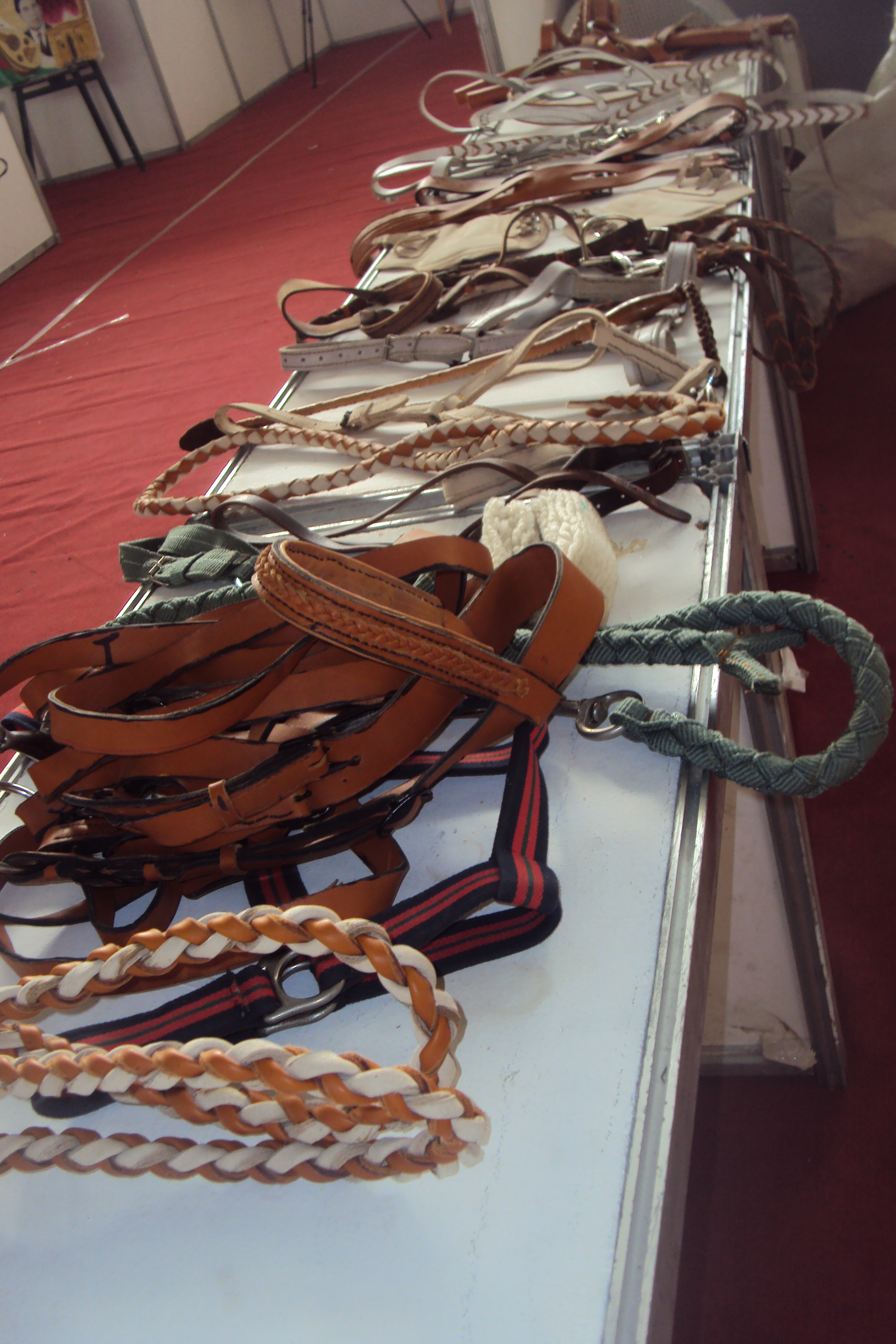 le 1er festival nle du tourisme équestre tiaret du 1 novembre au 4 novembre 2011