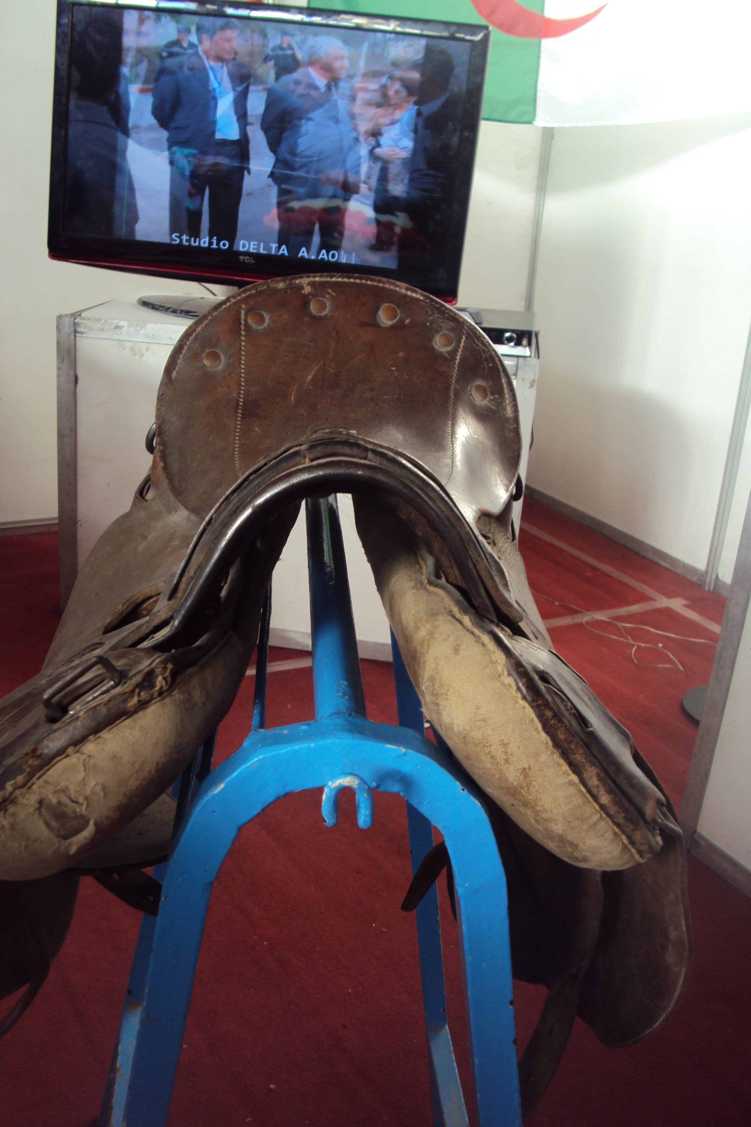 le 1er festival nle du tourisme équestre tiaret du 1 novembre au 4 novembre 2011