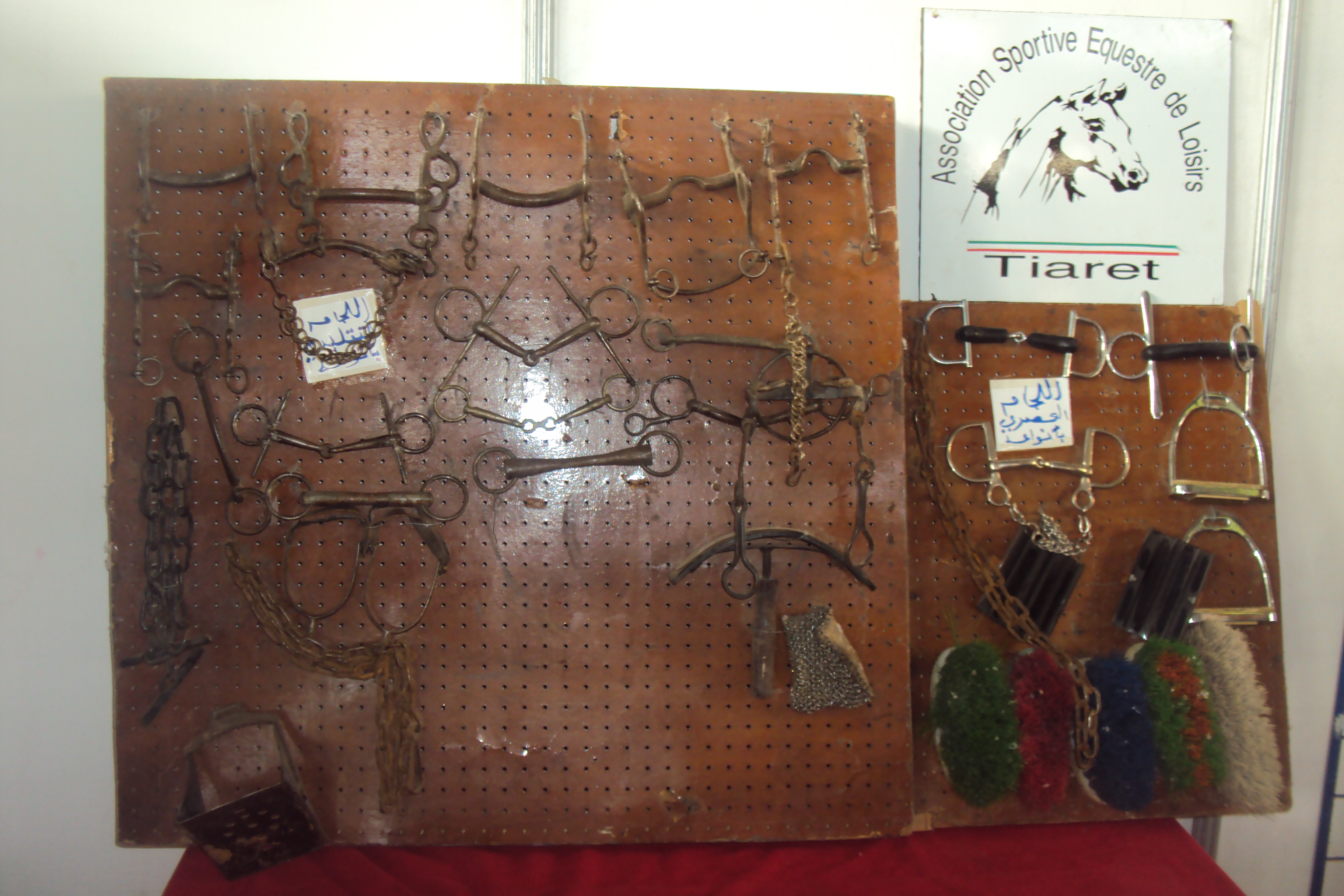 le 1er festival nle du tourisme équestre tiaret du 1 novembre au 4 novembre 2011