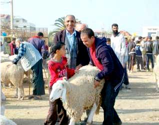 IL EST CÉDÉ À DES PRIX INABORDABLES Trop cher le mouton !