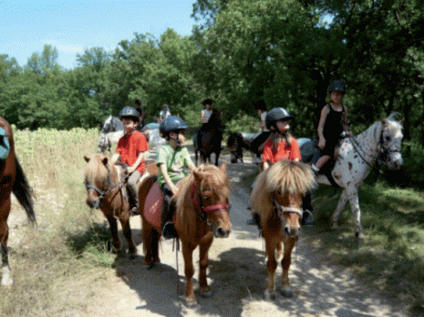 Projet de centre équestre pour Skikda