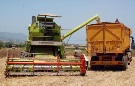 ولاية ميلة تعاني قلة المستودعات لتخزين الحبوب