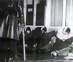 تم توجيهها إلى مجلس الشيوخ والجمعية الوطنية والإليزيه وماتينيون               10 آلاف توقيع لمطالبة فرنسا بالاعتراف الرسمي بمجزرة 17 أكتوبر 1961