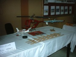 Tlemcen accueille le premier festival national des sports aéronautiques