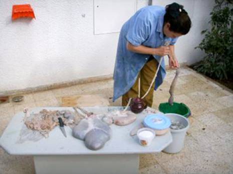 El guedid, une technique traditionnelle