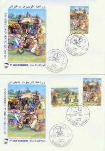 Oran - Agriculture: 75.000 q d'olives attendus